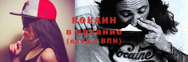 прущая мука Няндома