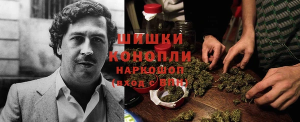 СК Аркадак