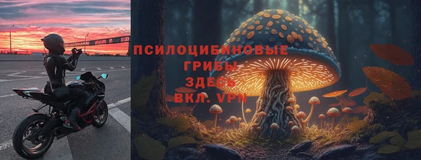 МДМА Алексеевка
